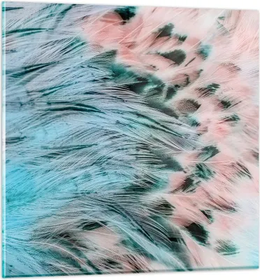 Produktbild von Bilder auf glas - Federn Federn Vogel - 50x50cm - Glasbilder - Wandbilder - Kunstdruck - zum Aufhängen bereit - Wanddekoration aus Glas - Glas Bilder - Wandbild auf Glas - Einteilig - GAC50x50-3742
