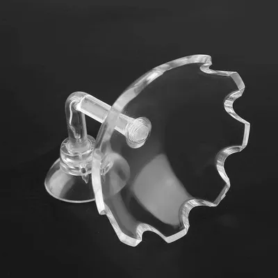 Produktbild von Futterbehälter für Garnelen - Acryl - Transparent - 1 Stück