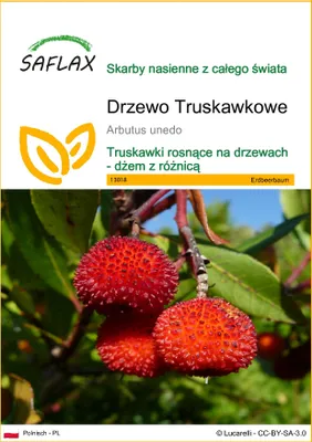 Produktbild von SAFLAX - Drzewo Truskawkowe - 50 Nasiona - Arbutus unedo
