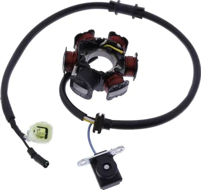 Obrázok produktu pre Stator alternátora pre Kymco Maxxer 50, rok výroby 2007–2017, od spoločnosti pamoto –