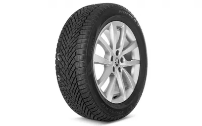 Obrázek produktu pro Kompletní zimní kolo ELBRUS 18" pro KODIAQ