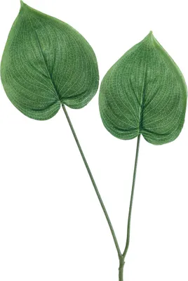 Produktbild von Philodendron Dekozweig Baumfreund Kunstpflanze Dekoration