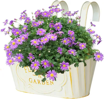 Produktbild von Metall-Blumenkasten für Geländer und Balkone – hängender Blumentopf für Hausbesitzer, Mieter und Gärtner auf Balkon, Terrasse, im Garten, Hof, Park oder in der Wohnung