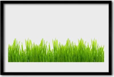 Produktbild von Bild 60x40 MDF-Rahmen Wandkunst Gras Natur Pflanze