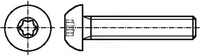 Obrázek produktu pro 100 kusů šroubů, hlava: kulová, M6x12, TX30, zinková, 1639366, šroubové kolíky Torx®