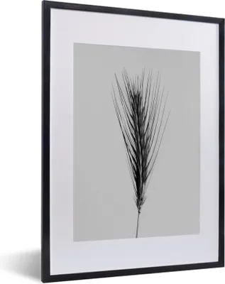 Produktbild von MuchoWow® MuchoWow® Gerahmtes Poster Pflanzen - Schilf - Natur - Schwarz und weiß 30x40 cm - Poster mit zchwarzem Bilderrahmen - Wandposter Schlafzimmer