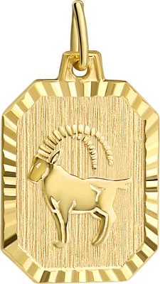 Produktbild von V Anhänger Sternzeichen Steinbock 333/- Gelbgold
