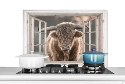 Obrázek produktu pro KitchenYeah® Splashback kitchen - Kuchyňský splashback - Ochrana stěny sporáku a dřezu - Skotský náhorní skot - Zvíře - Pohled 90x60 - Hliníkový dibond (alternativa ke skleněnému splashbacku) - Tepelně odolný - Tepelně odolný - Kuchyně
