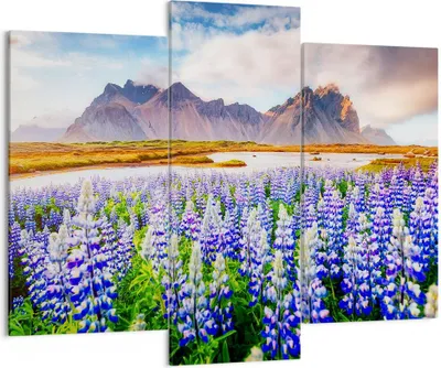 Produktbild von Bild auf Leinwand - Leinwandbild - Berge Wiese Blumen - 130x100cm - Wand Bild - Wanddeko - Leinwanddruck - Bilder - Kunstdruck - Wanddekoration - Leinwand bilder - Wandkunst - CB130x100-4114
