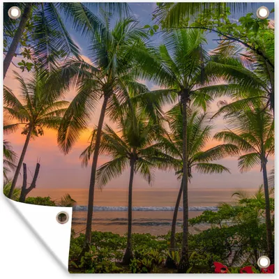 Produktbild von MuchoWow® 100x100 cm Outdoor-Poster Gartendeko Sichtschutz Garten Poster für den Garten  Palme - Tropisch - Meer