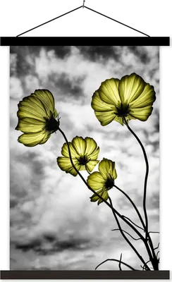 Produktbild von MuchoWow® Textilposter Blumen - Schwarz - Weiß - Gelb 120x180 cm mit schwarzem Rahmen - Fotos
