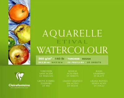 Zdjęcie produktu dla Clairefontaine 96461C, Podkładka z papieru artystycznego, 300 g/m², 25 ark.