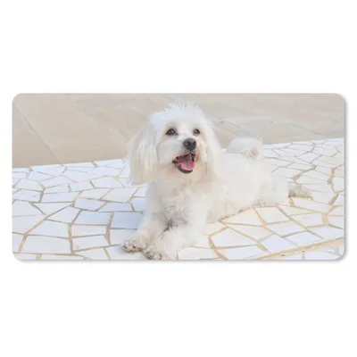 Produktbild von MuchoWow® Mauspad Mousepad Ein Malteser Hund liegt auf einem Weg 60x30 cm - Mousepads - Maus Mat - Pad - Mausunterlage - Nachhaltig