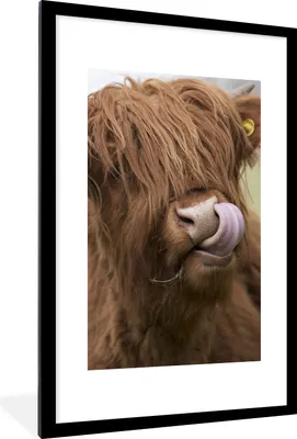 Produktbild von MuchoWow® Gerahmtes Poster Schottischer Highlander - Braun - Kuh 60x90 cm - Poster mit Schwarzem Bilderrahmen Wandposter Rahmen Foto Bilder - Dekoration - Wandposter Wohnzimmer - Hochwertig