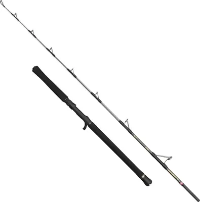 Produktbild von Penn Regiment IV Jig 6FT 30-50lb - Angelrute