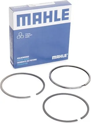 Immagine prodotto di Fasce Elastiche Ford Galaxy 00-