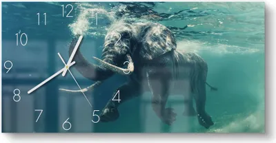 Produktbild von DEQORI Glasuhr 60x30 cm Zahlen 'Schwimmender Elefant' Wanduhr Glas Uhr Design leise