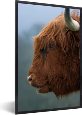 Produktbild von MuchoWow® Gerahmtes Poster Schottischer Highlander - Kuh - Nahaufnahme 40x60 cm - Poster mit Schwarzem Bilderrahmen Wandposter Rahmen Foto Bilder - Papierdruck - Wandbilder