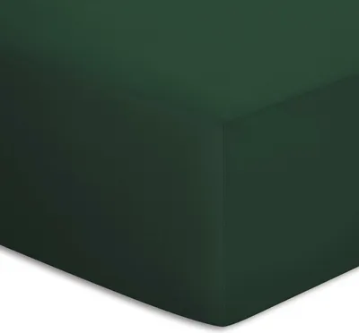 Produktbild von Bassetti SPANNBETTLAKEN UNI 703 VERDE 180x200 200x220 *9314076