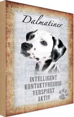Produktbild von vianmo Holzschild 18x12 cm Dalmatiner Hund Tier Haustier