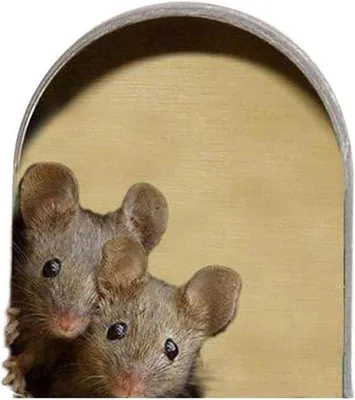 Produktbild von 5-teilige 3D-Wandsticker Mausloch Dekoration für Haus Schlafzimmer Wohnzimmer