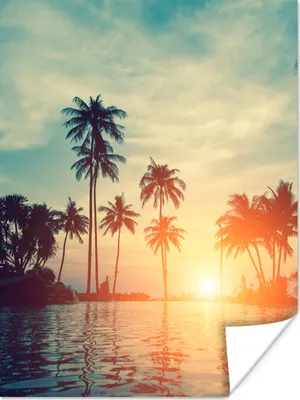 Produktbild von MuchoWow® Poster Meer - Sonnenuntergang - Palme - Wolken 30x40 cm - Wandplakat - Poster Kinderzimmer