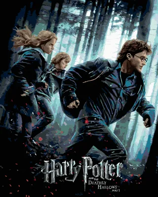 Obrázek produktu pro Zuty - Malování podle čísel - PLAKÁT HARRY POTTER A RELIKVIE SMRTI - NA ÚTĚKU, 40x50 cm, vypnuté plátno na rám
