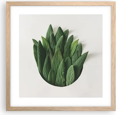 Produktbild von Gerahmtes Poster - Rahmen in heller Eiche - Salbei Medizin Blätter - 40x40 cm - Wand Bild - Wanddeko - Wandbilder - Kunstposter - Wandposter - Bilderrahmen - Bilder - Kunstdruck - P2NAC40x40-4859
