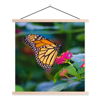 Produktbild von MuchoWow® Textilposter Schmetterlinge - Blume - Natur 120x120 cm mit holzfarbenen Rahmen - Textil-Poster