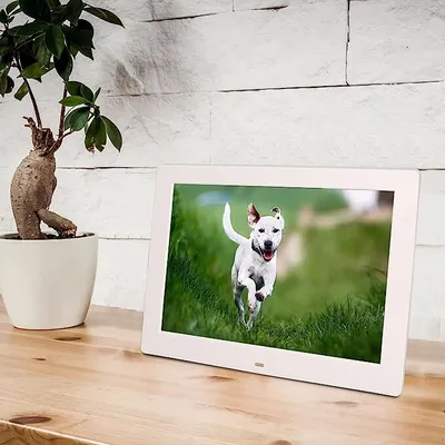 Zdjęcie produktu dla Cyfrowa ramka LED 17" USB SD FULL HD FOTO WIDEO MP3 PILOT