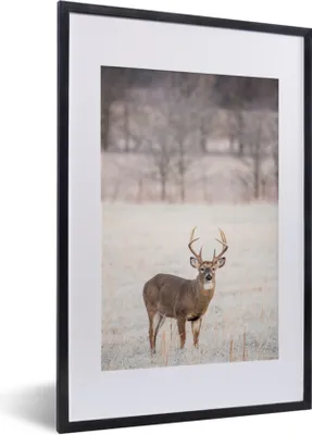 Produktbild von MuchoWow® MuchoWow® Gerahmtes Poster Hirsche - Braun - Winter 40x60 cm - Poster mit zchwarzem Bilderrahmen - Poster in Rahmen