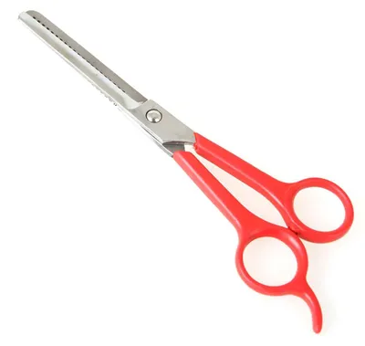 Immagine prodotto di Forbici per cani, acciaio inox, 15 cm, arancione