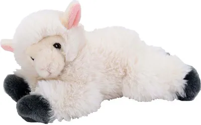 Image de Wild Republic - Doudou - Ecokins Mini - Agneau