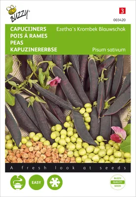 Produktbild von Kapuzinererbse Ezetha’s Krombek Blauwschok | Erbsensamen von Buzzy Seeds