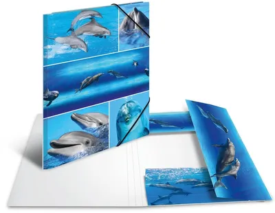 Immagine prodotto di Raccoglitore A4 in cartoncino con motivo a delfini, confezione da 3 pezzi