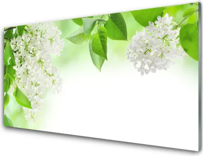 Produktbild von Acrylglasbilder 100x50 Wandbild Druck Blumen Blätter Pflanzen