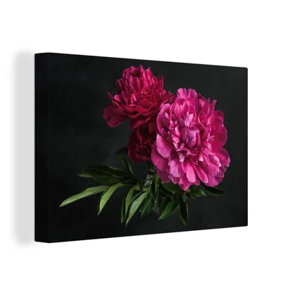 Produktbild von OneMillionCanvasses® - Leinwandbilder - 150x100 cm, Pfingstrosen - Stilleben - Rosa, Wandbilder Kunstdruck Wanddekoration