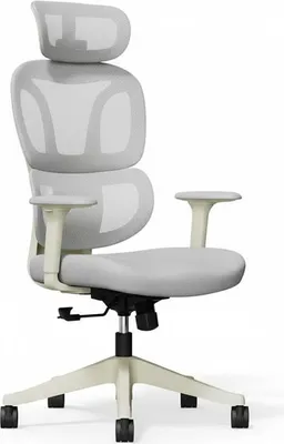 Image de Chaise de bureau ergonomique BS5WG-PRO, grise
