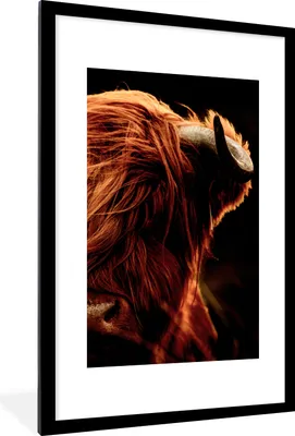 Produktbild von MuchoWow® Gerahmtes Poster Schottischer Highlander - Kuh - Hörner - Porträt - Tiere 60x90 cm - Poster mit Schwarzem Bilderrahmen Wandposter Rahmen Foto Bilder - Dekoration - Wandposter Wohnzimmer - Hochwertig