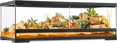 Produktbild von Exo Terra Pro Terrarium L Low Terrarium 90x45x30cm Golden 90x45x30 cm Golden 90x45x30 cm