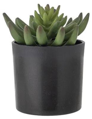 Zdjęcie produktu dla Sztuczna roślina Echeveria Bloomingville, zielona, wykonana z tworzywa sztucznego, wymiary: 9 cm x 14 cm