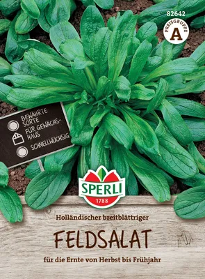 Produktbild von SPERLI Feldsalatsamen Holländischer breitblättriger Valerianella locusta 2-3 lfd. Meter