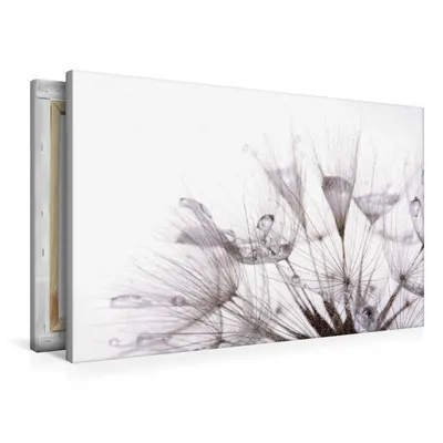 Produktbild von Calvendo  Textil-Leinwand 90 cm x 60 cm quer Ein Motiv aus dem Kalender Pusteblumen, CALVENDO; 7272885