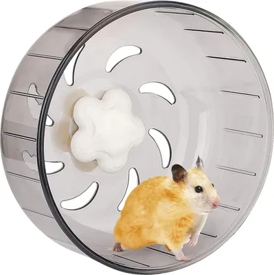Produktbild von Hamster-Laufrad, 13,2 cm, superleiser Acryl-Kunststoff für kleine Haustiere (13 cm)