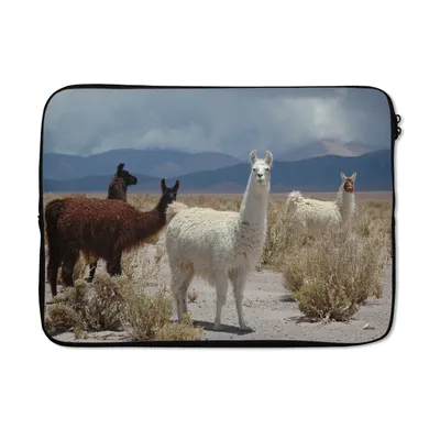 Produktbild von MuchoWow® Laptop Hülle 13 Zoll Alpaka - Wüste - Wolken Laptoptasche - Laptophülle - Sleeve - Rundumschutz