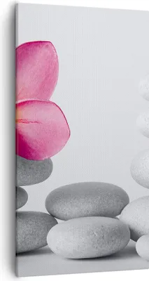 Produktbild von Bild auf Leinwand - Leinwandbild - Spa buddhismus ruhig blume - 55x100cm - Wand Bild - Wanddeko - Leinwanddruck - Bilder - Kunstdruck - Wanddekoration - Leinwand bilder - Wandkunst - PA55x100-2304