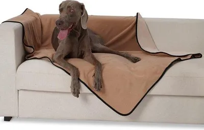 Produktbild von Famanu Hundedecke Weich und Waschbar - 157 x 127 cm