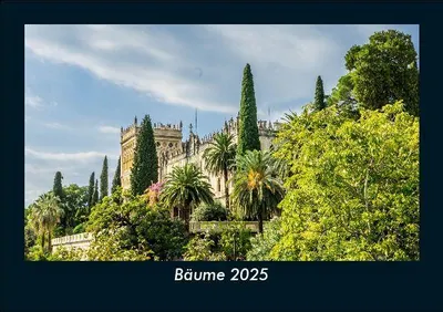 Produktbild von Bäume 2025 Fotokalender DIN A5