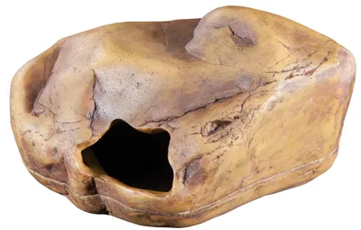 Immagine prodotto di Exo Terra Grotta per gechi per rettili, grande