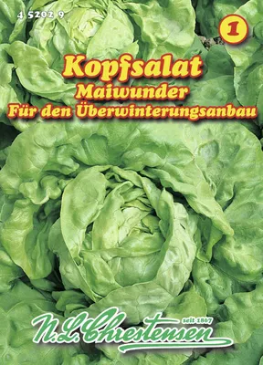 Produktbild von Kopfsalat Maiwunder | Kopfsalatsamen von N.L. Chrestensen
